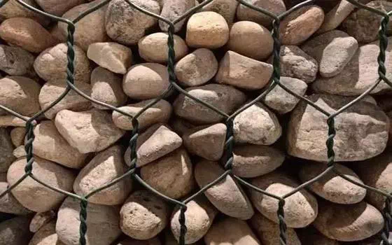 Five screw gabion net