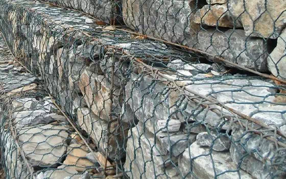 Reinforced gabion net